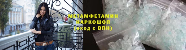 гашик Алексин