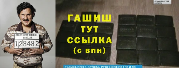 прущие грибы Аркадак