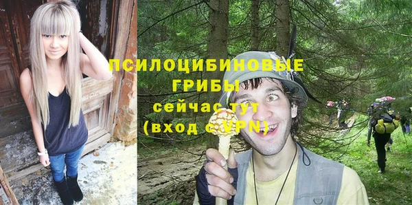винт Алексеевка