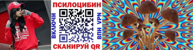 продажа наркотиков  Жуковка  Галлюциногенные грибы ЛСД 