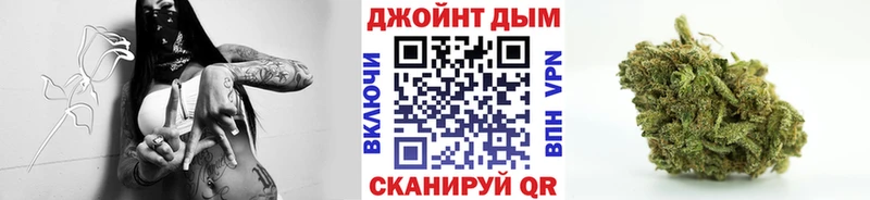 Марихуана гибрид Жуковка